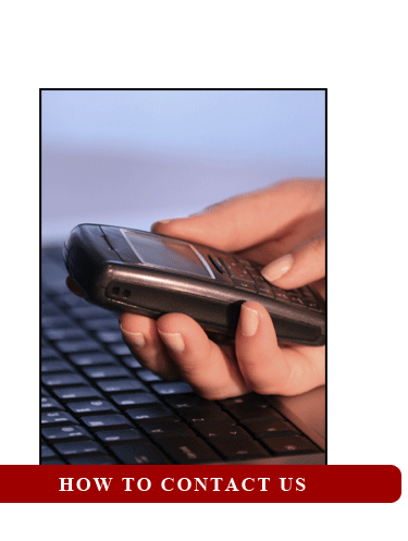 Contact Information