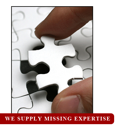 We Supply Missing Expertise